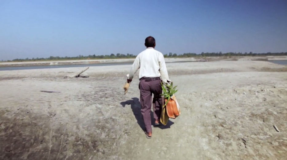 印度一島民堅持種樹35年，將550公頃荒島變森林--置頂表情