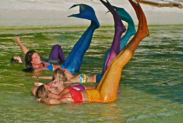 游泳學(xué)校教會(huì)你如何成為一個(gè)美人魚--置頂表情