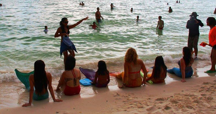 游泳學(xué)校教會(huì)你如何成為一個(gè)美人魚--置頂表情